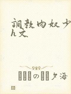 调教肉奴少司缘h文封面