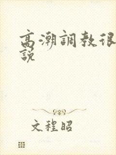 高潮调教很爽小说