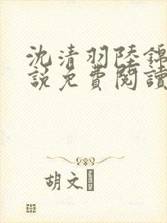 沈清羽陆锦容小说免费阅读最新章节