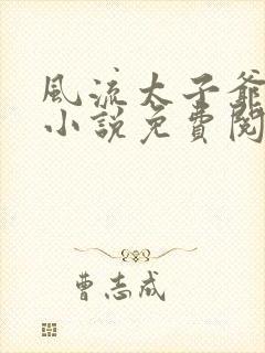 风流太子爷在线小说免费阅读封面