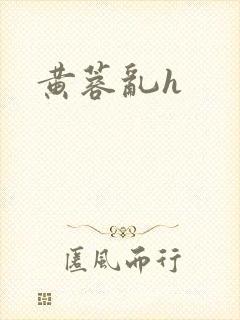 黄蓉乱h封面