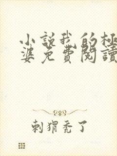 小说我的极品老婆免费阅读全文