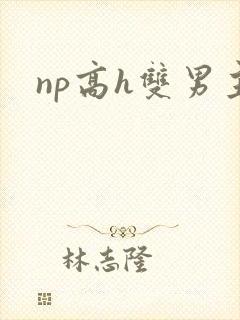 np高h双男主