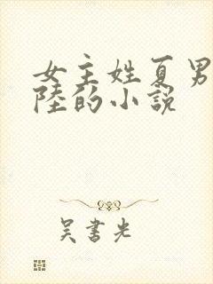 女主姓夏男主姓陆的小说