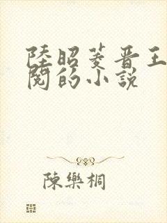 陆昭菱晋王周时阅的小说