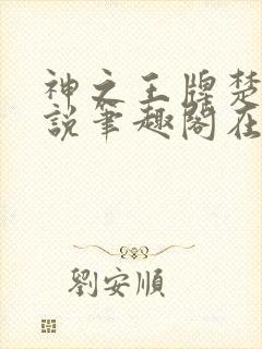 神之王牌楚尘小说笔趣阁在线阅读