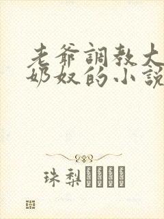 老爷调教大乳女奶奴的小说