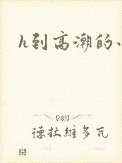 h到高潮的小说封面