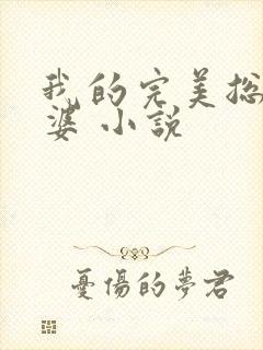 我的完美总裁老婆 小说