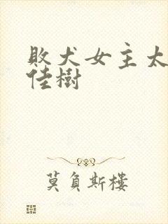 败犬女主太多了佳树