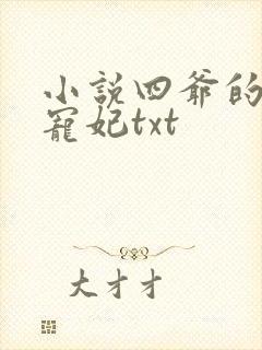 小说四爷的心尖宠妃txt