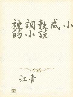 被调教成小母狗的小说封面