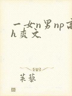 一女n男np高h爽文封面