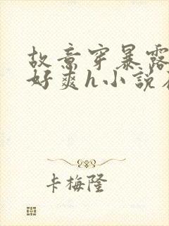 故意穿暴露被强好爽h小说在线看