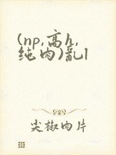(np,高h,纯肉)乱l封面