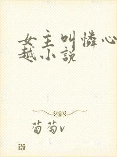 女主叫怜心的穿越小说封面