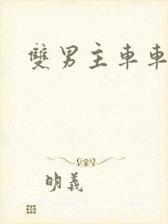 双男主车车小说