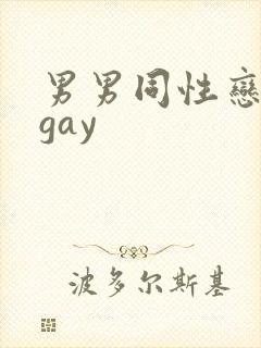 男男同性恋视频gay