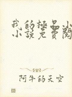 我的极品小姨 小说免费阅读