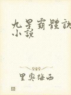 九星霸体诀全集小说