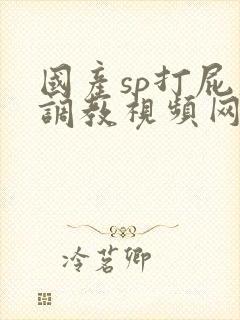 国产sp打屁股调教视频网站