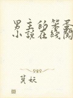 男主的笨蛋老婆小说在线阅读无弹窗封面