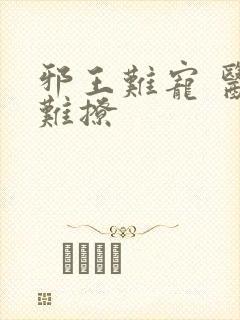 邪王难宠 医妃难撩