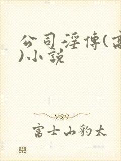 公司淫传(高h)小说封面