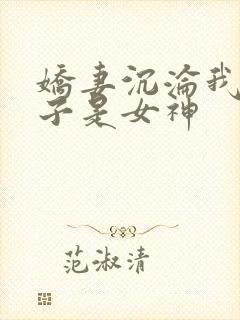 娇妻沉沦我的妻子是女神