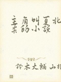 主角叫夏北许馨柔的小说