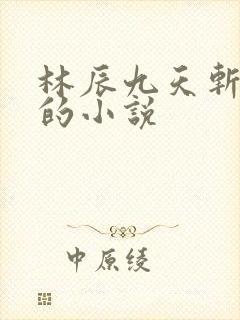 林辰九天斩神诀的小说
