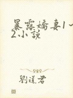 暴露娇妻1～12小说