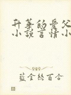 升华的爱父女恋小说言情小说封面