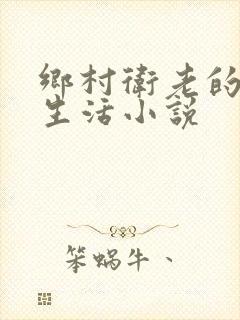 乡村卫老的幸福生活小说