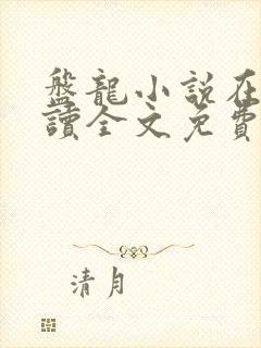 盘龙小说在线阅读全文免费无弹窗封面