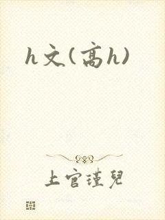 h文(高h)