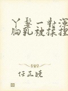 丫鬟一对浑圆的胸乳被揉捏小说