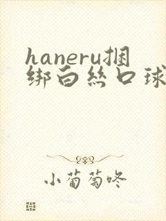 haneru捆绑白丝口球合集