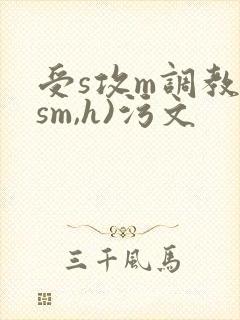 受s攻m调教(sm,h)污文