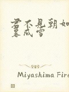 君不见朝如青丝暮成雪