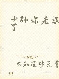 少帅你老婆又跑了