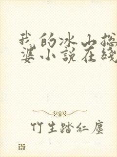 我的冰山总裁老婆小说在线