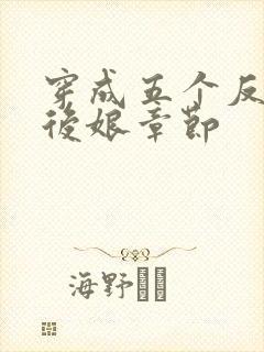 穿成五个反派的后娘章节