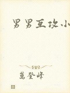 男男互攻小说h