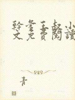 干爹王叔小说全文免费阅读最新章节