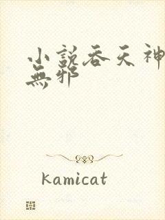 小说吞天神鼎柳无邪