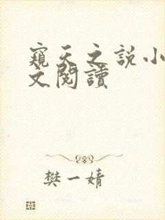 窥天之说小说全文阅读