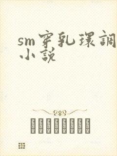 sm穿乳环调教小说