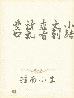 爱情爽文小说一口气看到结局封面