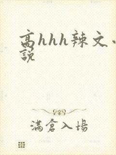 高hhh辣文小说